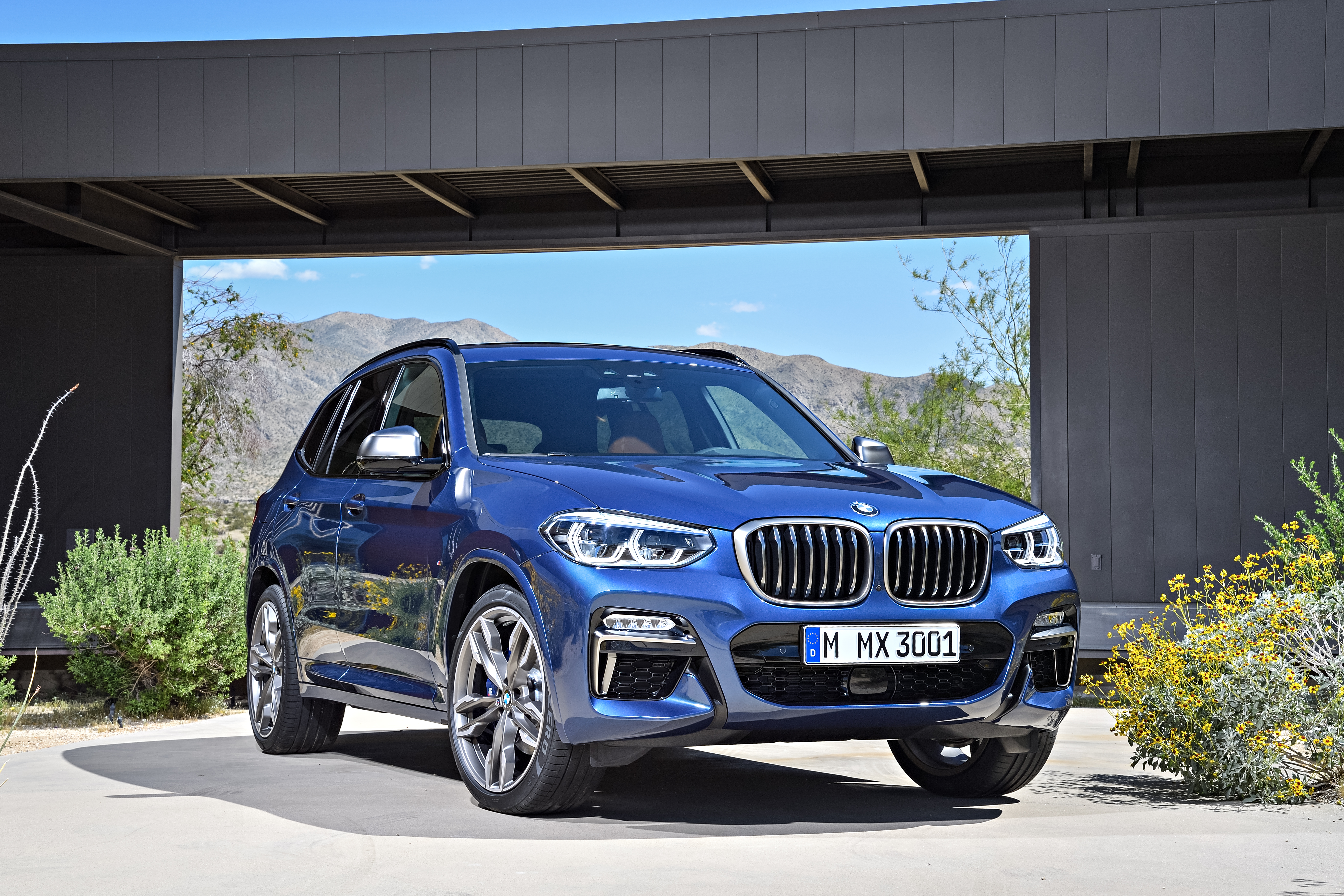 BMW X3_1